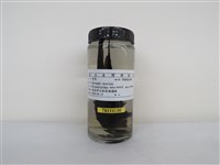 藏品(家燕)的圖片